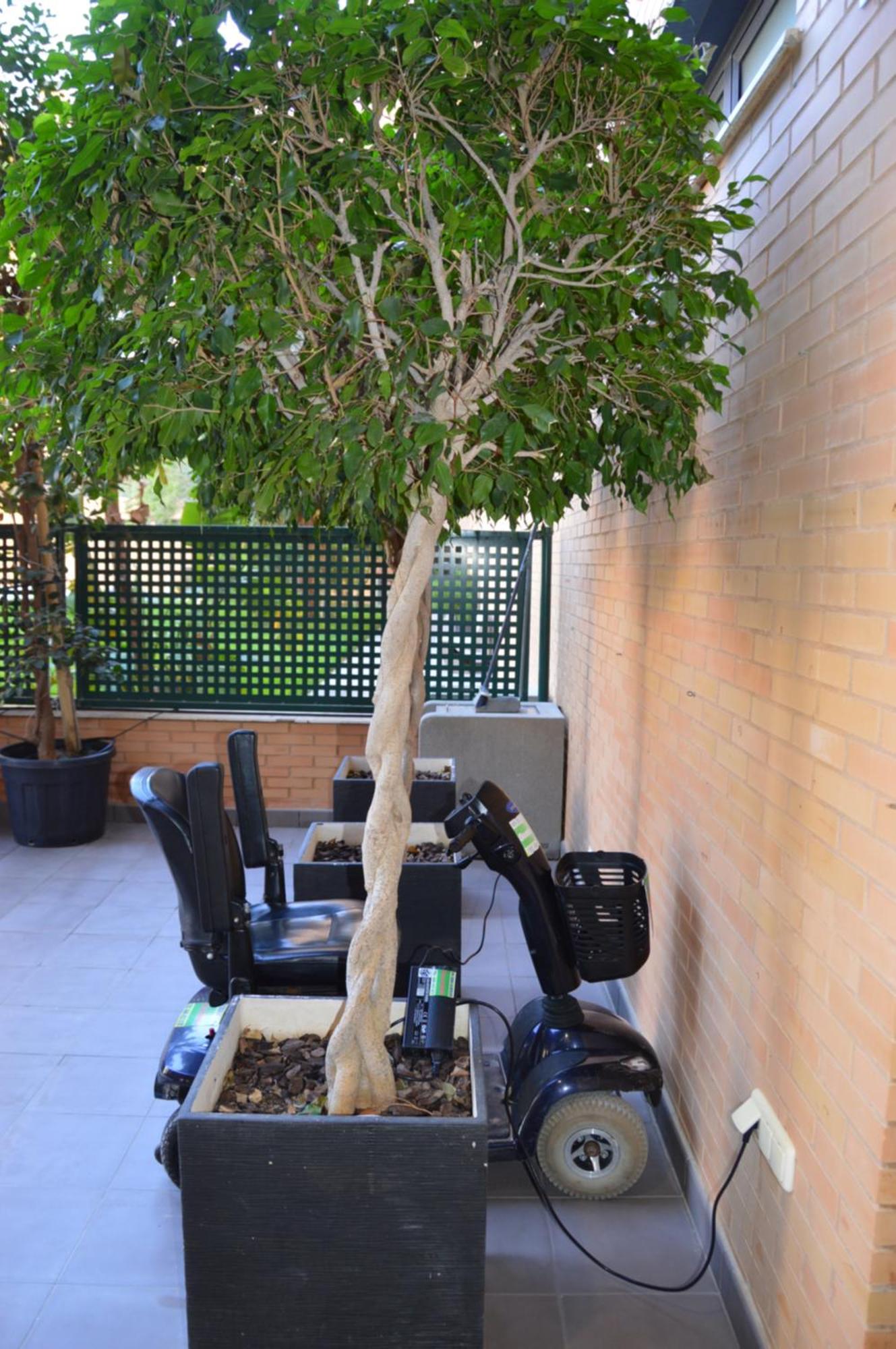 Gastrogroup Holiday Apts El Albir Exterior photo